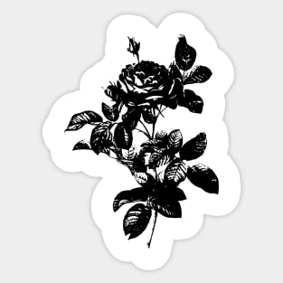 Rose Sticker